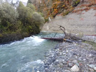 Le tronc entre le pont du Chatelard, et la passerelle Picot