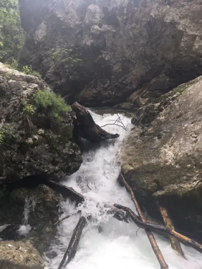 Premier infran : Arbres et siphon