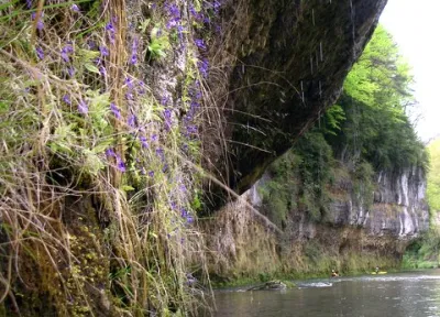 Magnifique section, un régal pour les yeux tout du long.