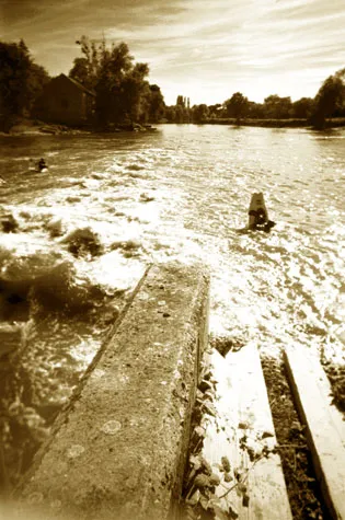 sepia flatwheel