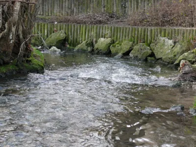 La partie sinueuse dans la parc du morbras avec très peu d'eau.