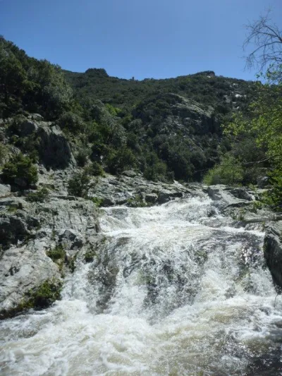 Vue d'ensemble avec la Tour de la Massane en arrière plan