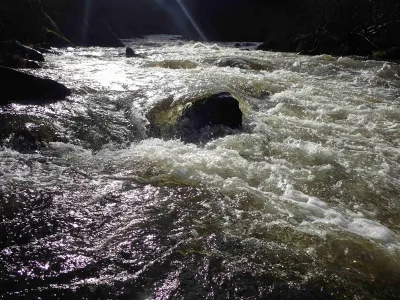 La baraque à poney à 27m2