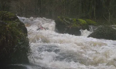 Jérémie un poil enterré au saut de la Pucelle (0,9 à l'échelle de Ste Barbe)