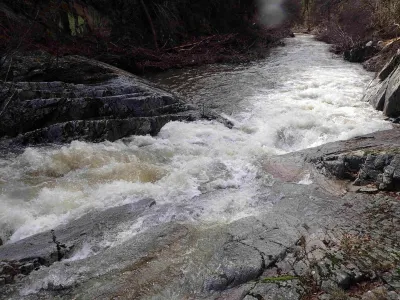 le saut du saumon