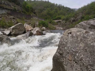 Rapide juste en aval du pissaillou