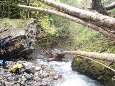 un des passages dans la première moitiée. avant, toute l'eau passait a droite de l'arbre et formait un seuil mais la falaise RG s'est effondrée et il faut maintenant passer a gauche de l'arbre ( RG)