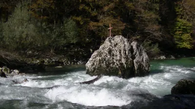 Arbre dans la Scala di Bohinja