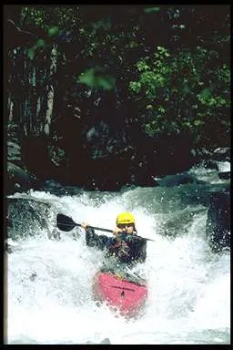 Qu'il est beau ce Roux!