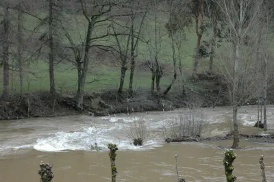 Le rouleau et la moitier du bassin.