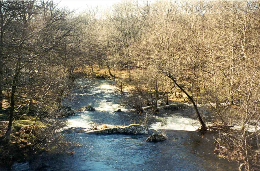 photo09.jpg
